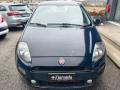 usato FIAT Punto