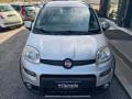 usato FIAT Panda