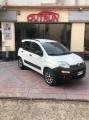 usato FIAT Panda