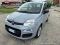 usato FIAT Panda