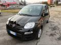 usato FIAT Panda