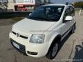 usato FIAT Panda