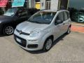 usato FIAT Panda