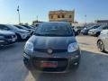 usato FIAT Panda