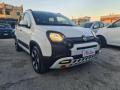 usato FIAT Panda Cross