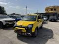 usato FIAT Panda Cross