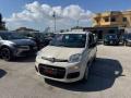 usato FIAT Panda
