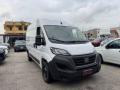 usato FIAT Ducato