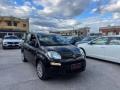 usato FIAT Panda
