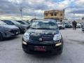 usato FIAT Panda