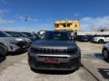 usato JEEP Avenger