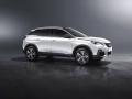 usato PEUGEOT 3008