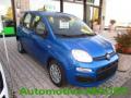 Km 0 FIAT Pandina