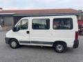 usato FIAT Ducato