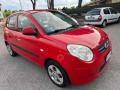 usato KIA Picanto