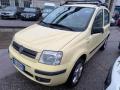 usato FIAT Panda