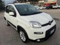 usato FIAT Panda