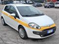 usato FIAT Punto Evo