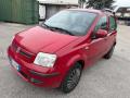 usato FIAT Panda