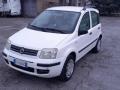 usato FIAT Panda