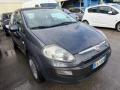 usato FIAT Punto Evo