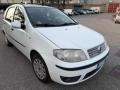 usato FIAT Punto