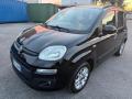 usato FIAT Panda