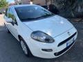 usato FIAT Punto