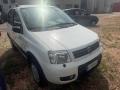 usato FIAT Panda