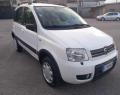 usato FIAT Panda