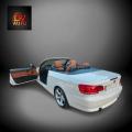 usato BMW 335