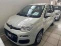 usato FIAT Panda