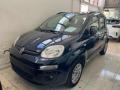usato FIAT Panda