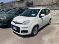 usato FIAT Panda