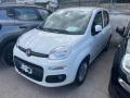 usato FIAT Panda