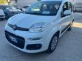 usato FIAT Panda