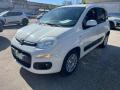 usato FIAT Panda