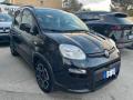 usato FIAT Panda
