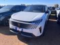 usato PEUGEOT 3008