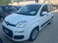 usato FIAT Panda