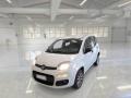 usato FIAT Panda