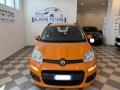 usato FIAT Panda