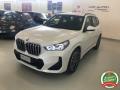usato BMW X1