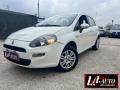 usato FIAT Punto