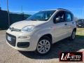 usato FIAT Panda