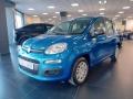 usato FIAT Panda