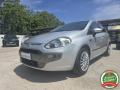 usato FIAT Punto Evo