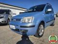 usato FIAT Panda