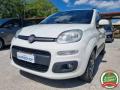usato FIAT Panda
