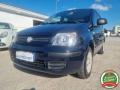 usato FIAT Panda